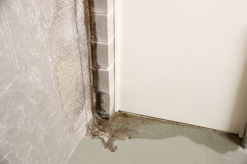 Basement Seepage Repair in Grand Rapids, MI